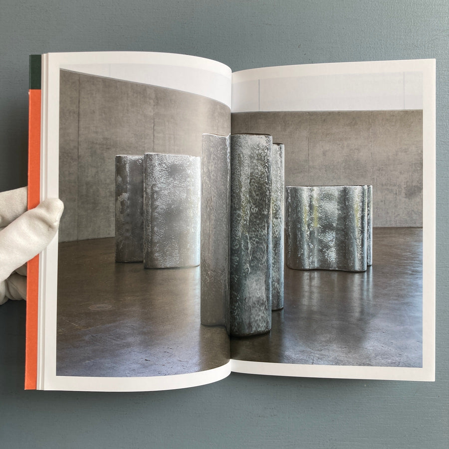 Richard Deacon - Under the Weather - Thomas Schütte Siftung 2016 - Saint-Martin Bookshop