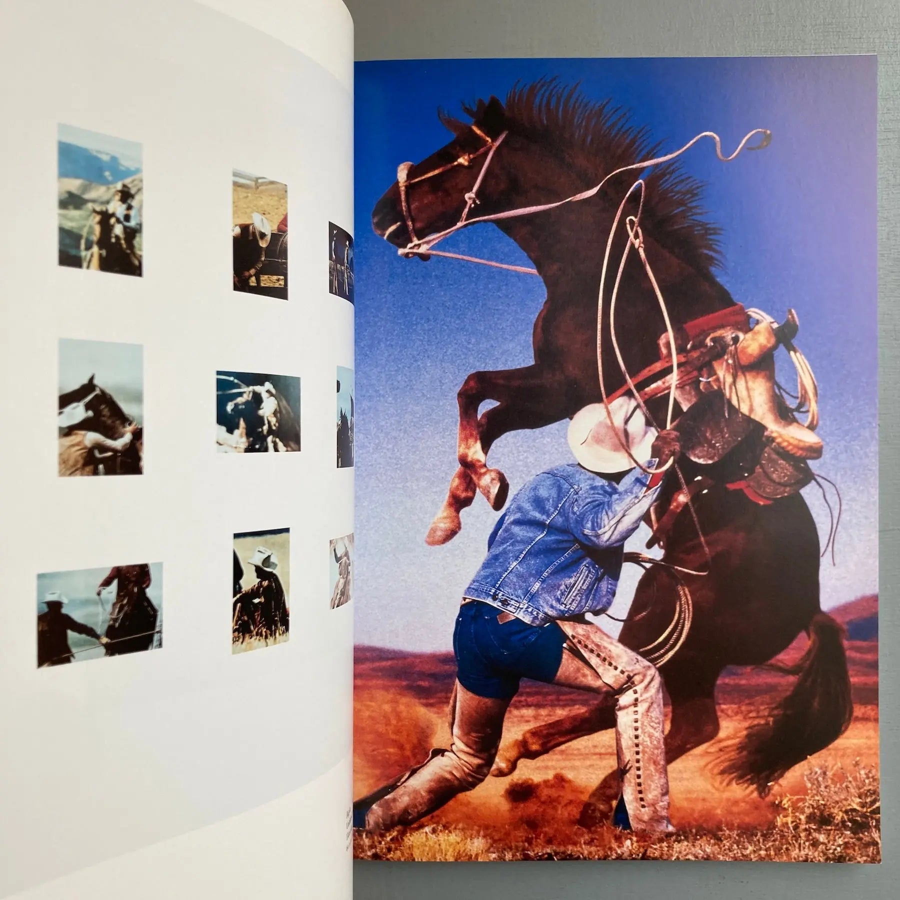 Richard Prince 写真集 Richard-Prince-Paintings-_-