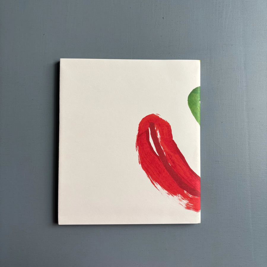Richard Tuttle - The Poetry of Form - ICA/IVAM 1992 - Saint-Martin Bookshop
