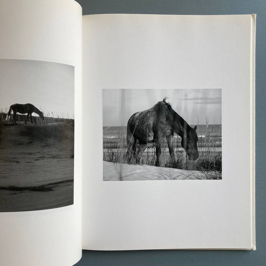 Roe Ethridge - Farewell Horse - Rat Hole Gallery 2009 - Saint-Martin Bookshop