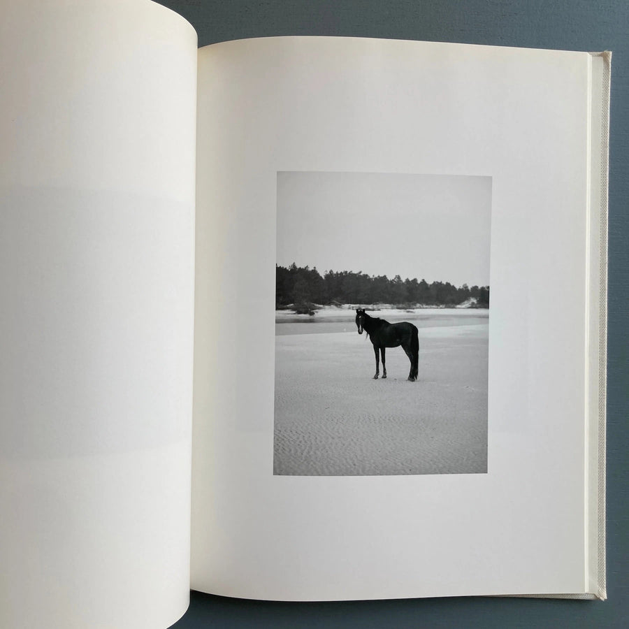 Roe Ethridge - Farewell Horse - Rat Hole Gallery 2009 - Saint-Martin Bookshop