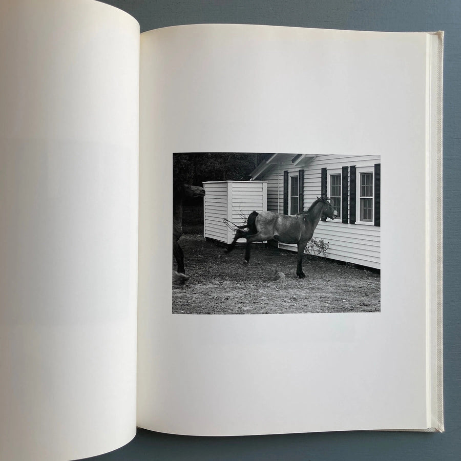 Roe Ethridge - Farewell Horse - Rat Hole Gallery 2009 - Saint-Martin Bookshop