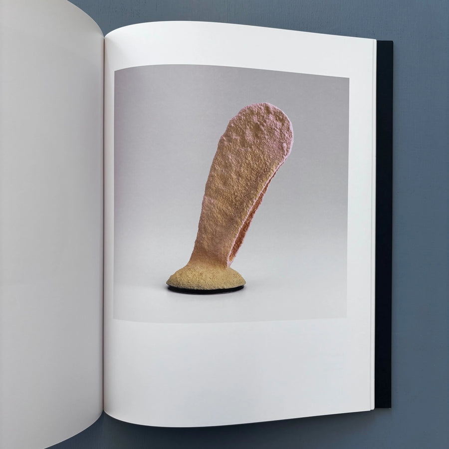 Ron Nagle - Pierre Marie Giraud 2008 - Saint-Martin Bookshop