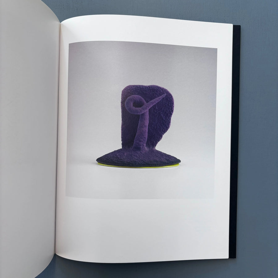 Ron Nagle - Pierre Marie Giraud 2008 - Saint-Martin Bookshop