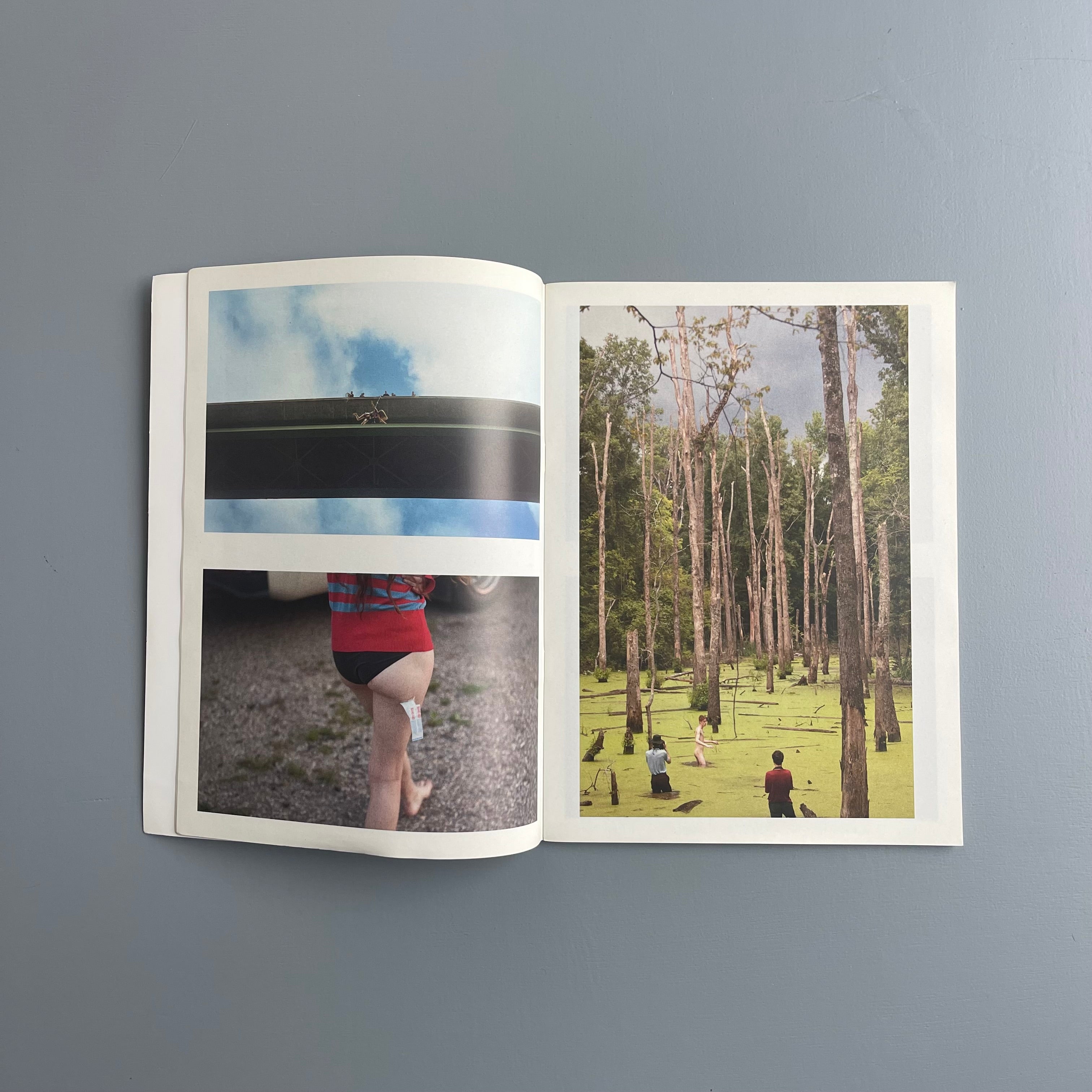 Ryan McGinley - The journey is the destination - Purple Book 2013