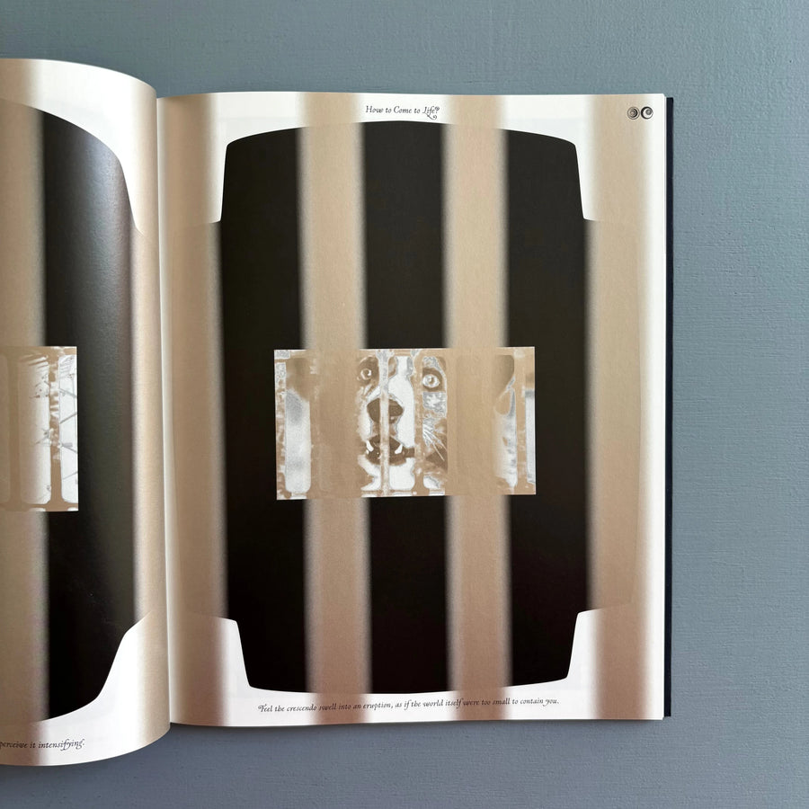 Sharon Van Overmeiren - Jacuzzi of Despair - Zolo Press 2025 - Saint-Martin Bookshop