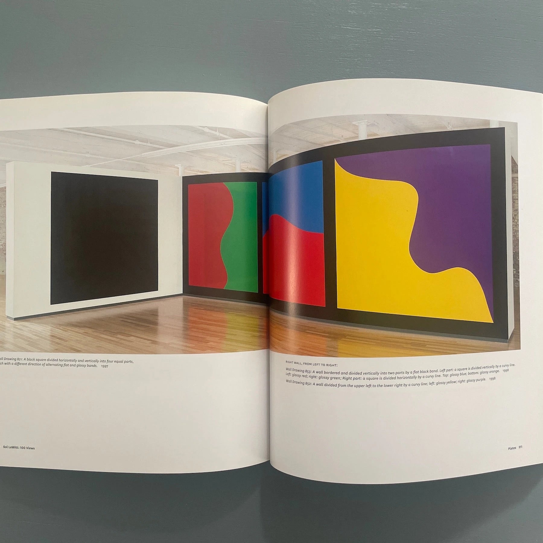 Sol Lewitt - 100 views - Yale university press 2009 - Saint