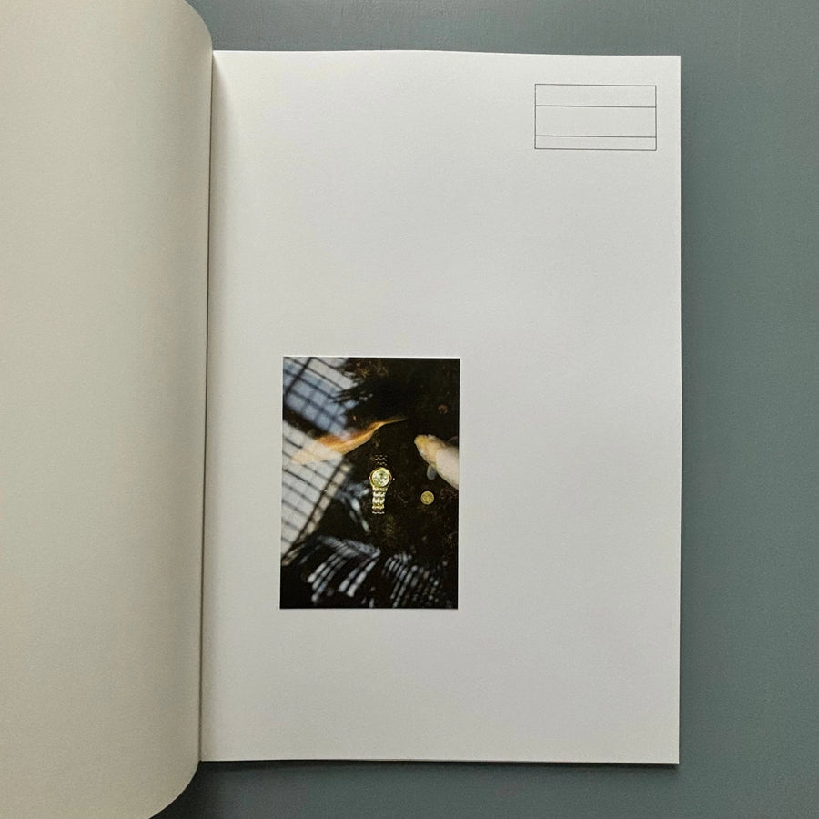 Starta by Dana Munro (signed) - Strata Edition 2013 - Saint-Martin Bookshop