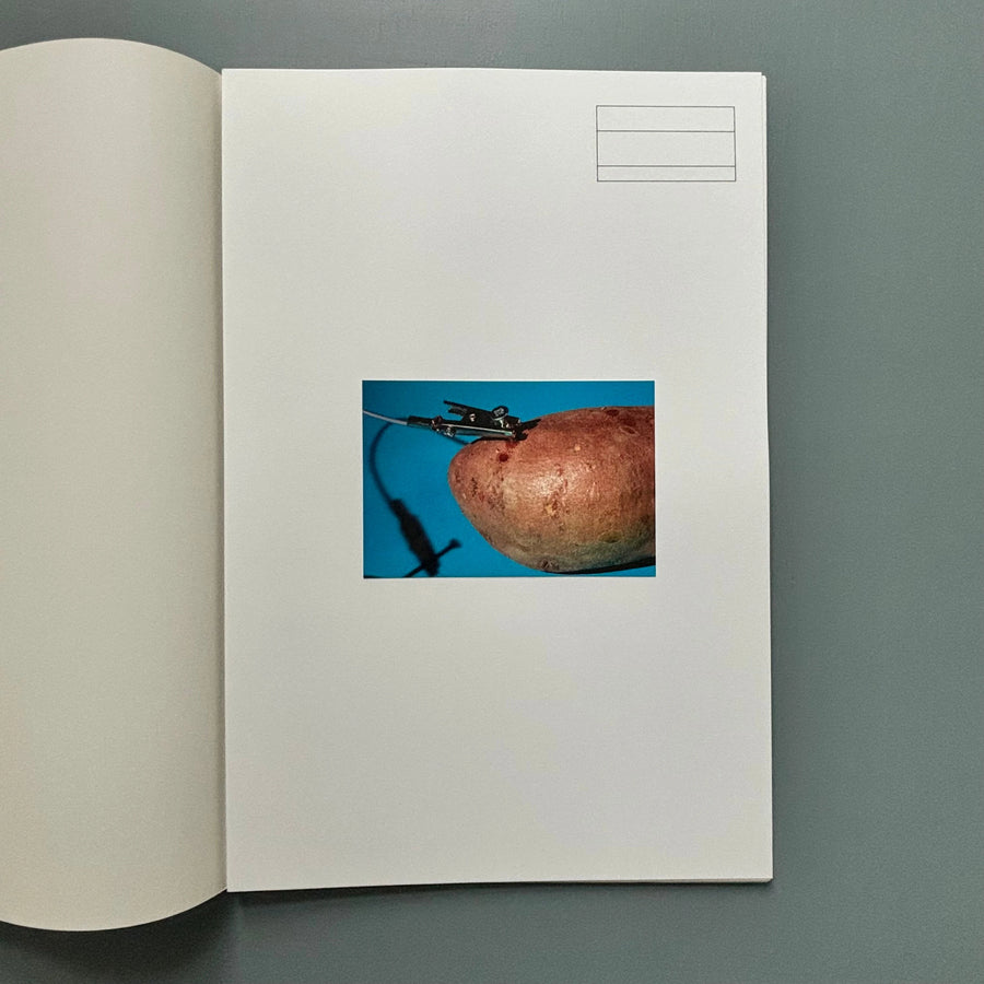Starta by Dana Munro (signed) - Strata Edition 2013 - Saint-Martin Bookshop