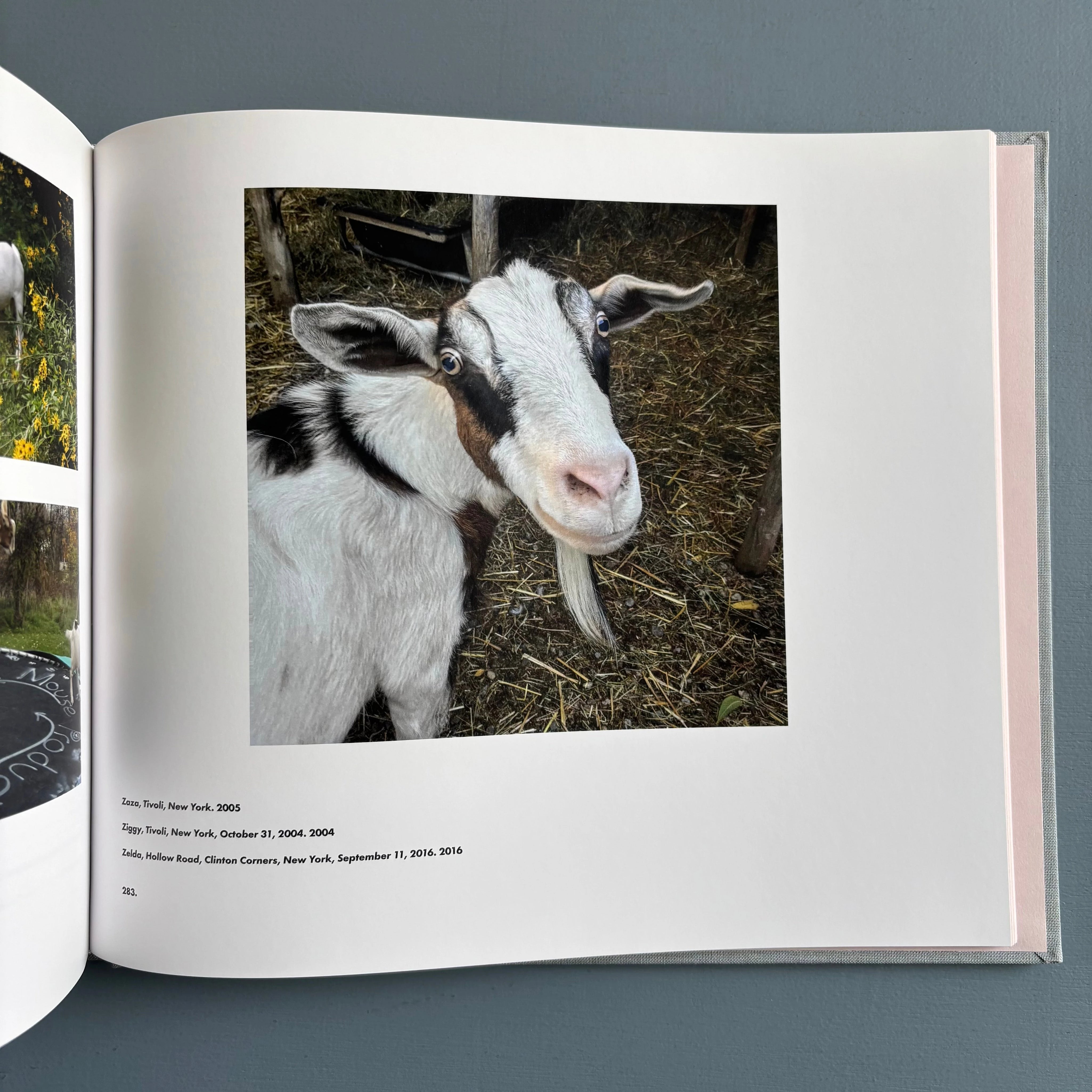 Stephen Shore - Solving Pictures - Thames & Hudson 2017 - Saint