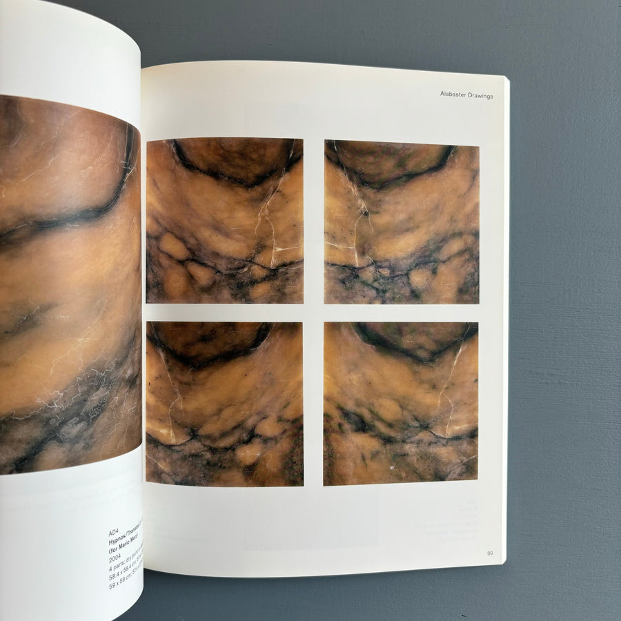Tacita Dean - Analogue - Steidl 2006 - Saint-Martin Bookshop