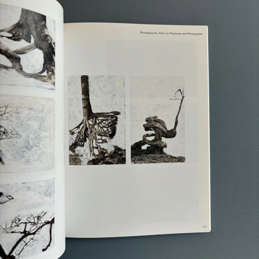 Tacita Dean - Analogue - Steidl 2006 - Saint-Martin Bookshop