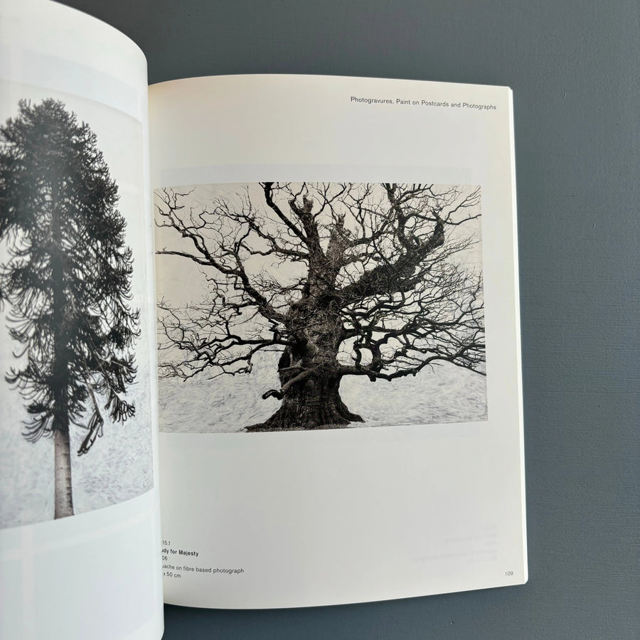 Tacita Dean - Analogue - Steidl 2006 - Saint-Martin Bookshop
