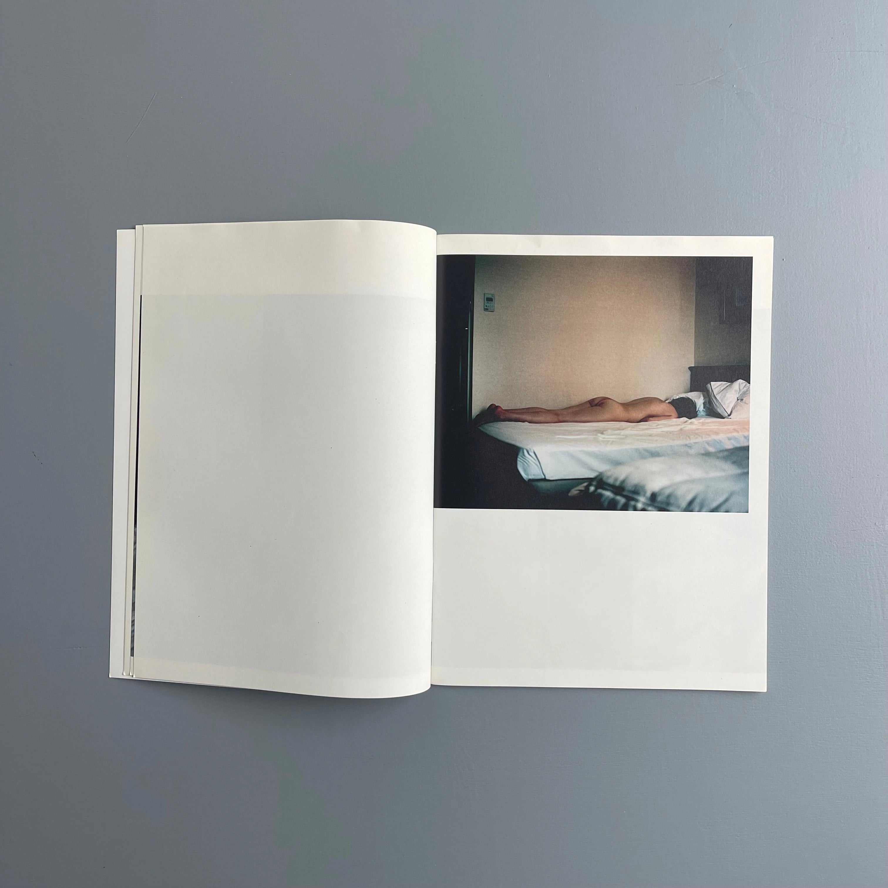 Takashi Homma - Landscapes - Purple Book 2016 - Saint-Martin Bookshop