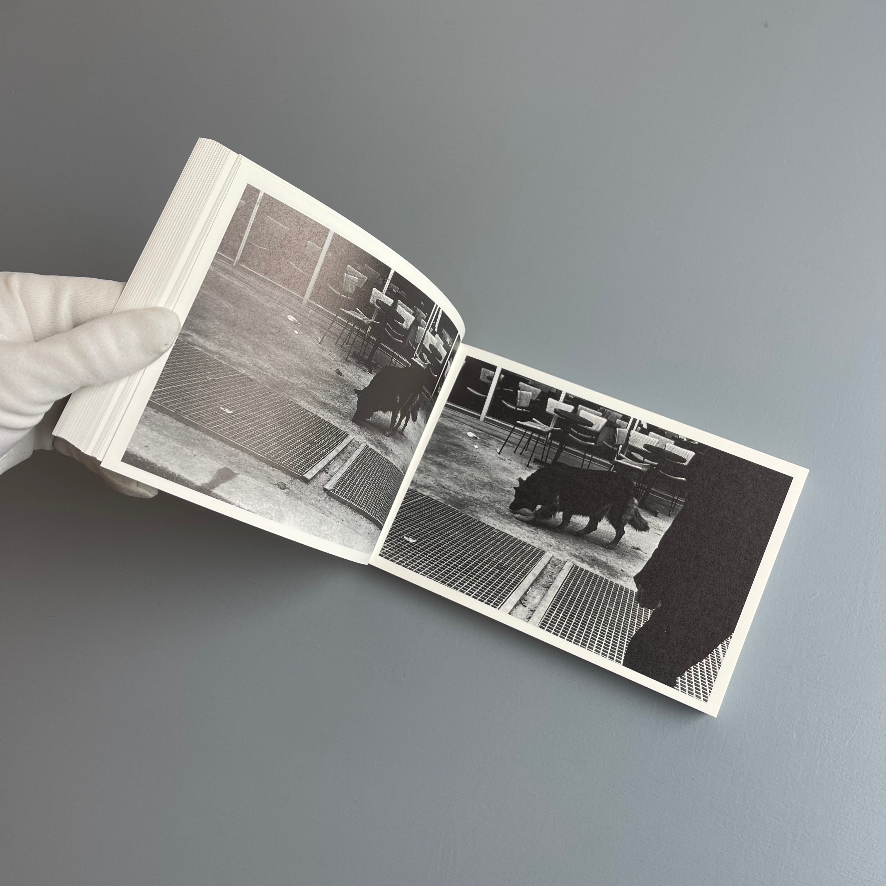 Takuma Nakahira - Circulation: Date, Place, Events - Osiris 2012
