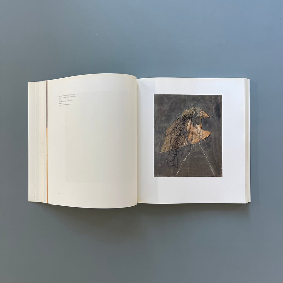 Tàpies - Reina Sofia 2000 - Saint-Martin Bookshop