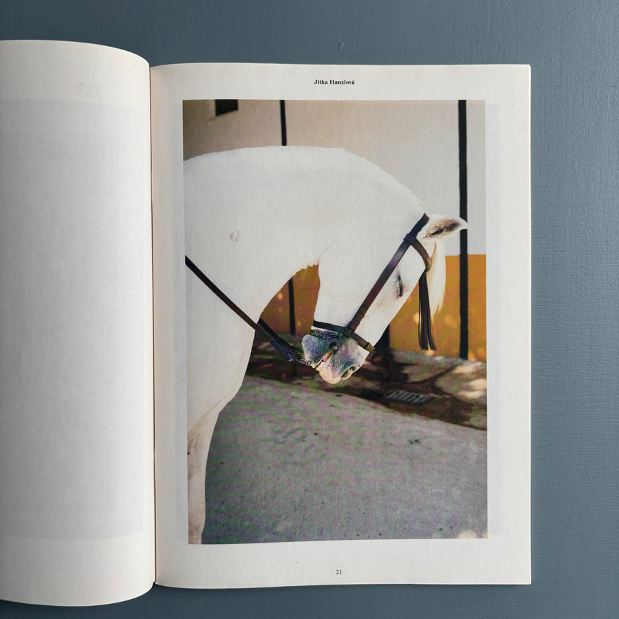 The Photographic I - Other Pictures - Roma Publications 2017