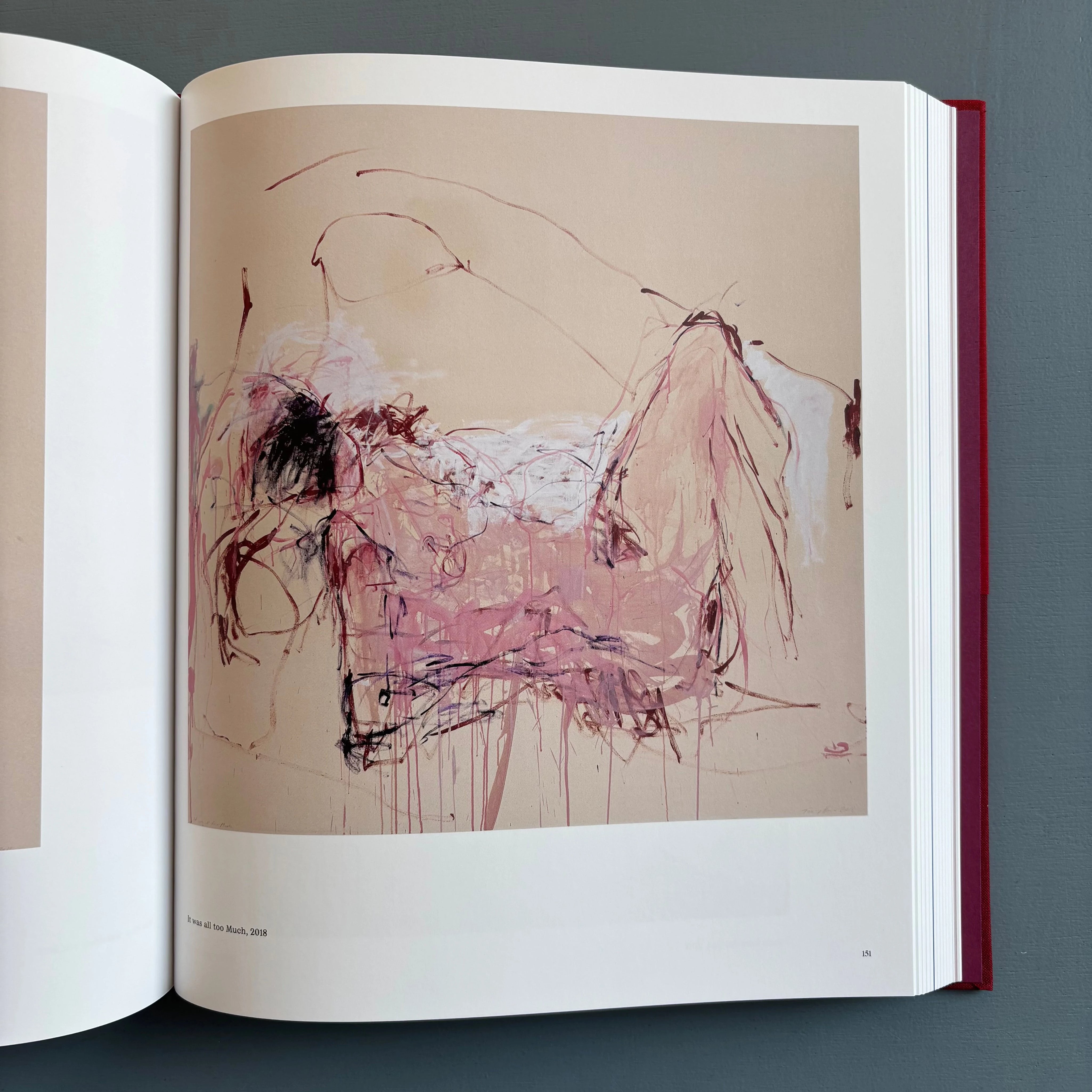 Tracey Emin - Paintings - Phaidon 2024 - Saint-Martin Bookshop