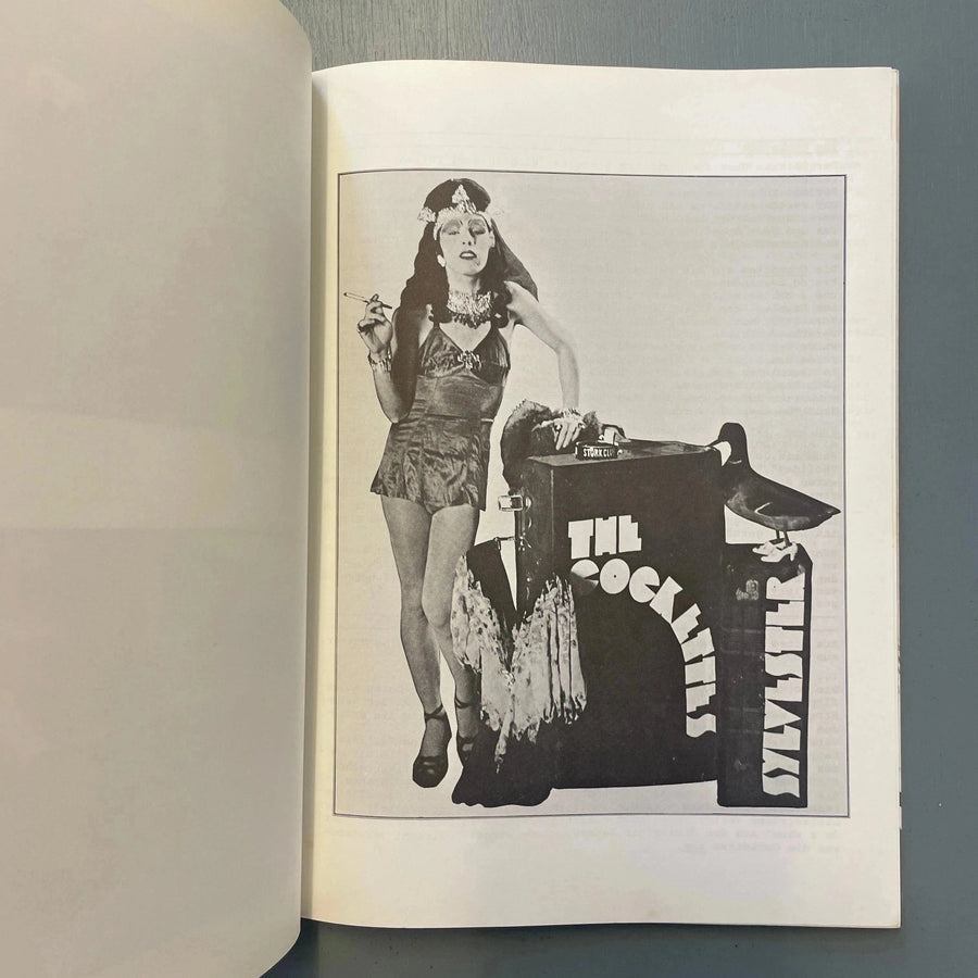 Transformer: Aspekte der travestie - Kunstmuseum Luzern 1974 - Saint-Martin Bookshop