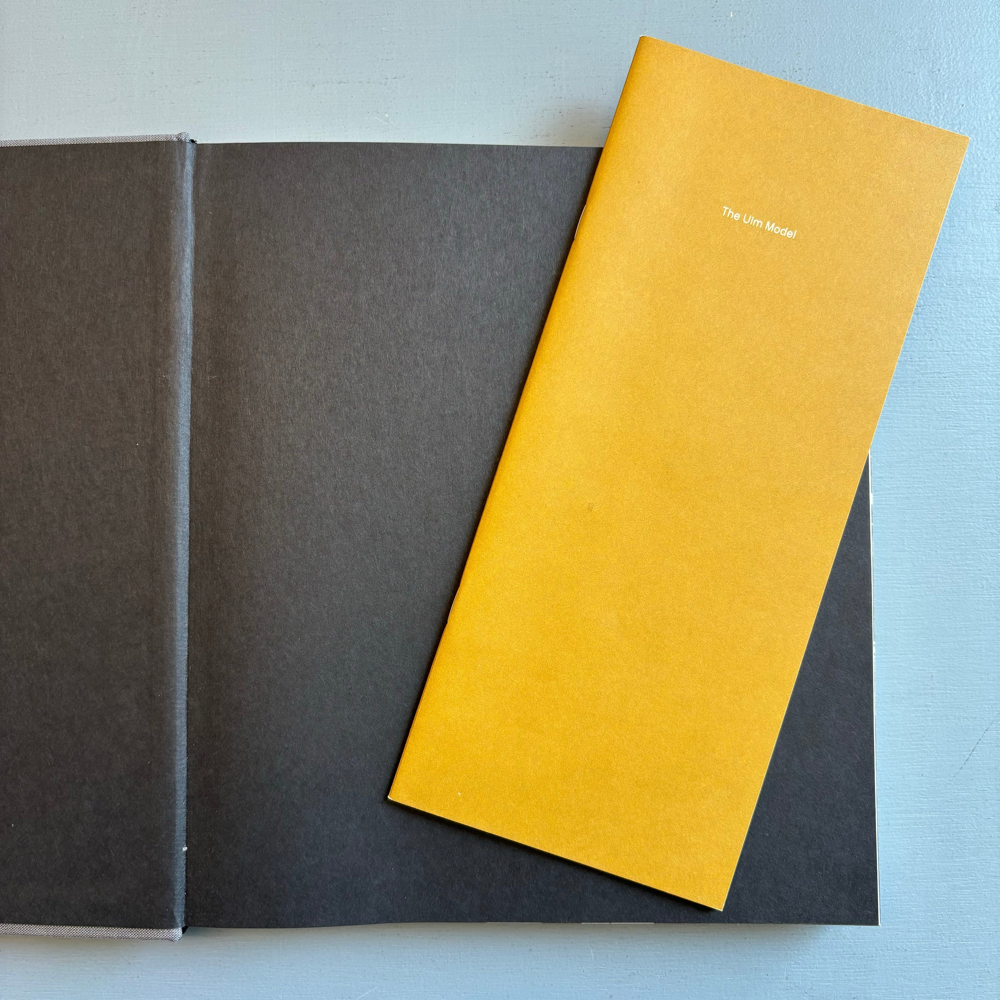 Ulm Design, The Morality of Objects - The MIT Press 1991 - Saint