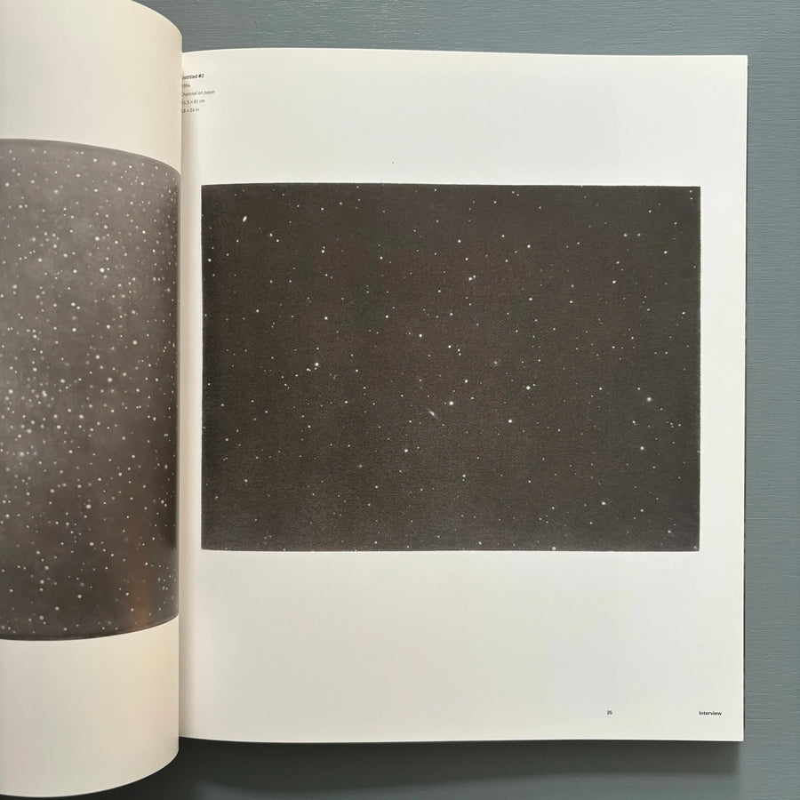 Vija Celmins - Phaidon 2004