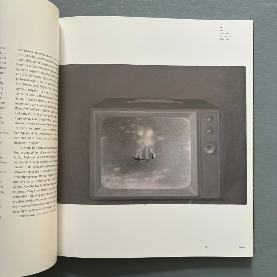 Vija Celmins - Phaidon 2004