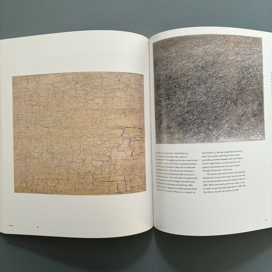 Vija Celmins - Phaidon 2004