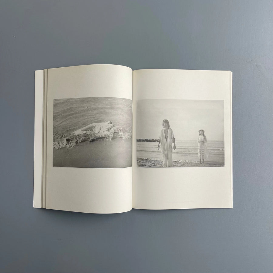 Vincent Darré - Vincent - Purple Book 2009 - Saint-Martin Bookshop