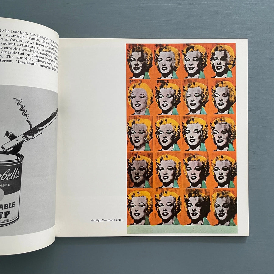 Warhol - The Tate Gallery 1971