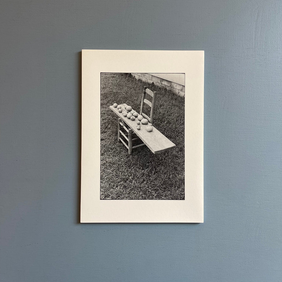 William Gedney/John Cage - Iris Garden - Little Brown Mushroom 2013 - Saint-Martin Bookshop