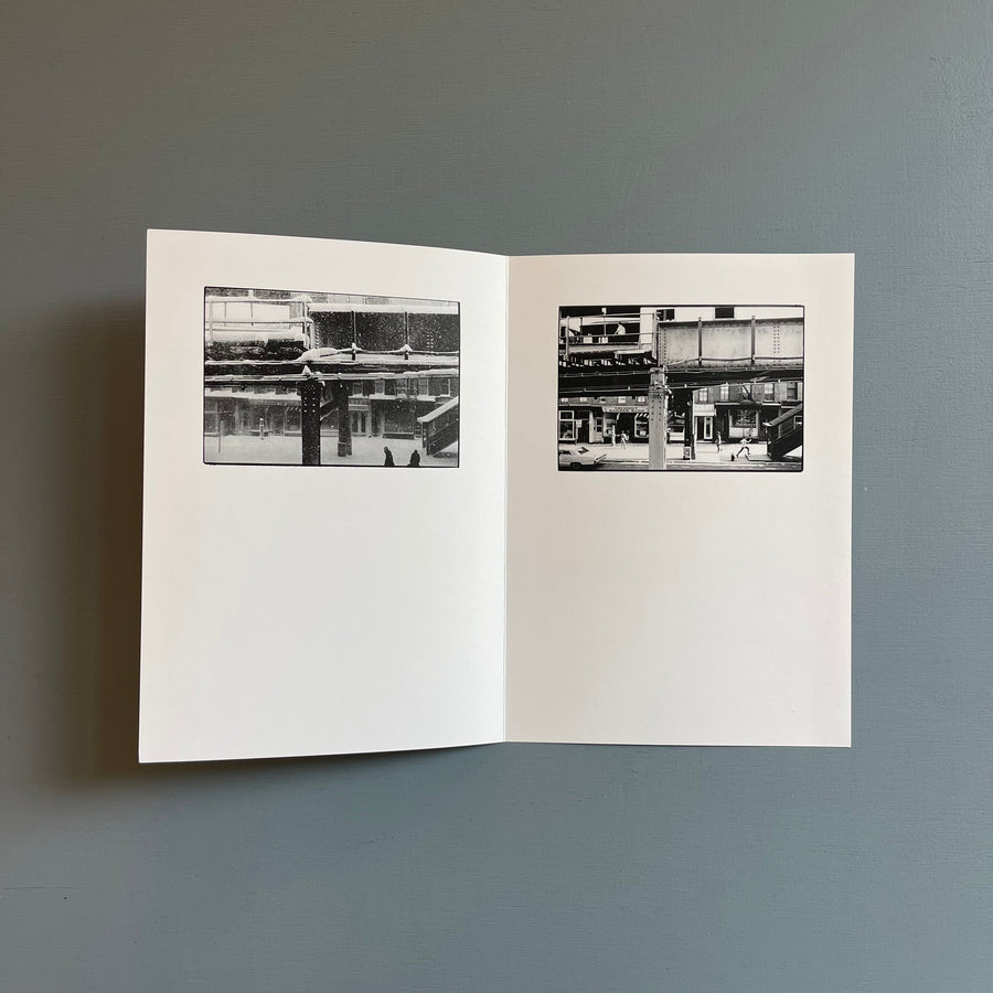 William Gedney/John Cage - Iris Garden - Little Brown Mushroom 2013 - Saint-Martin Bookshop