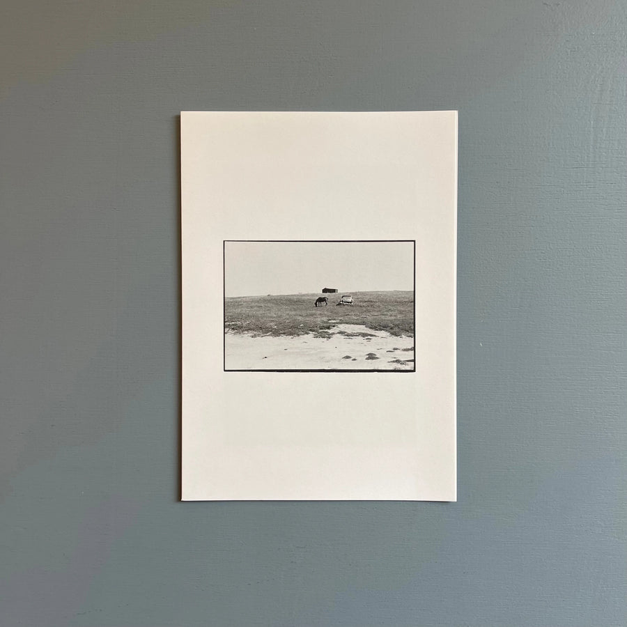 William Gedney/John Cage - Iris Garden - Little Brown Mushroom 2013 - Saint-Martin Bookshop