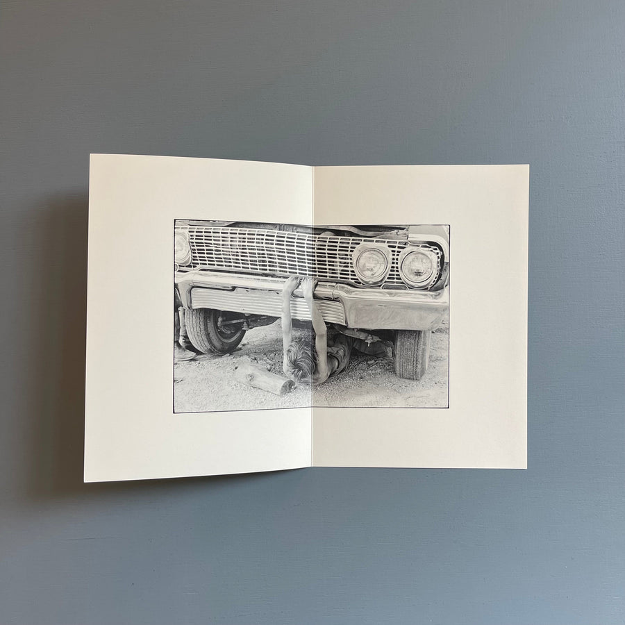 William Gedney/John Cage - Iris Garden - Little Brown Mushroom 2013 - Saint-Martin Bookshop