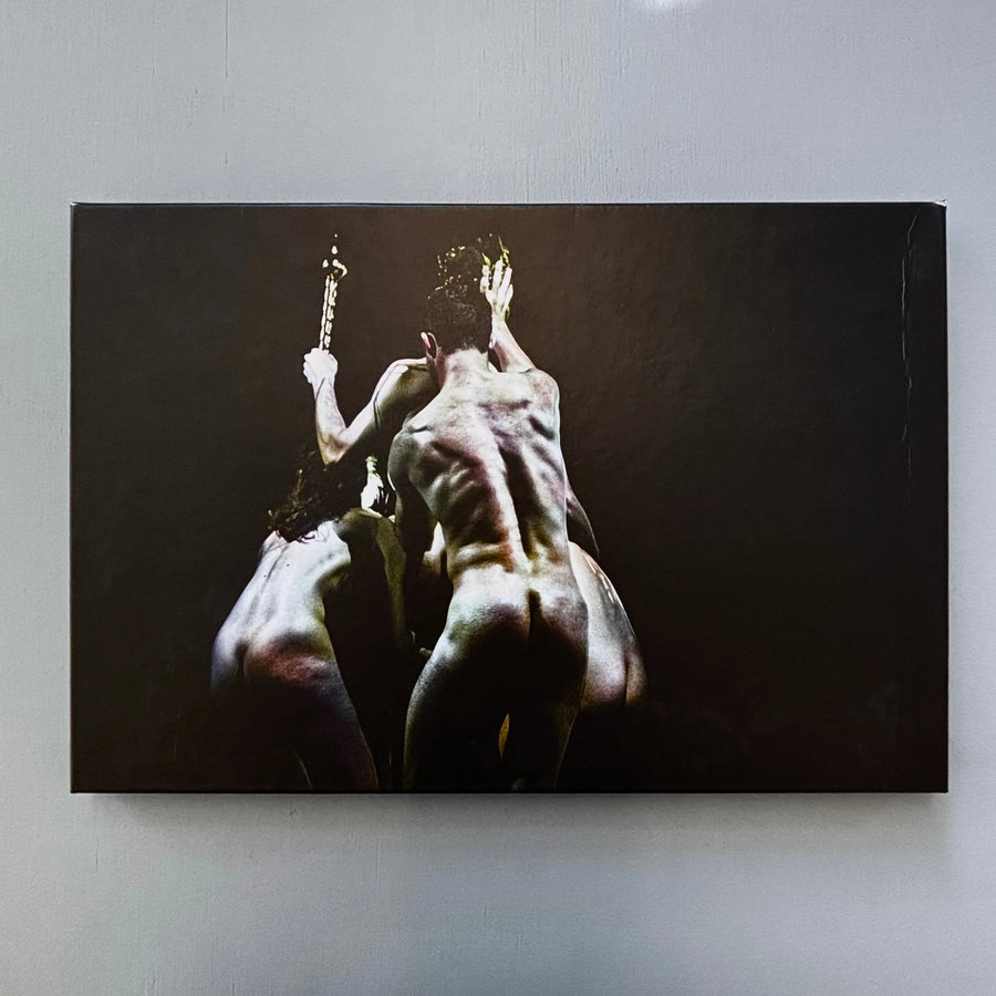 Willy Vanderperre - The Power of Theatrical Madness II -  Self-published 2014 - Saint-Martin Bookshop