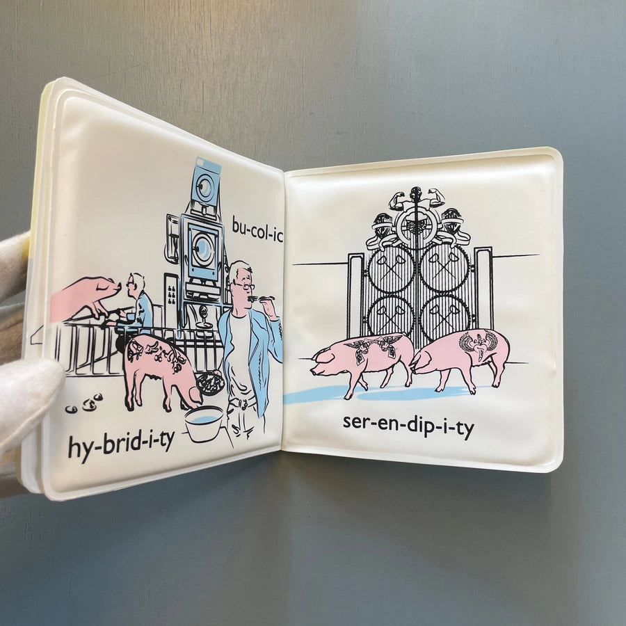 Wim Delvoye for Dummies - Rectapublishers/Galerie Rodolphe Janssen 2008 - Saint-Martin Bookshop