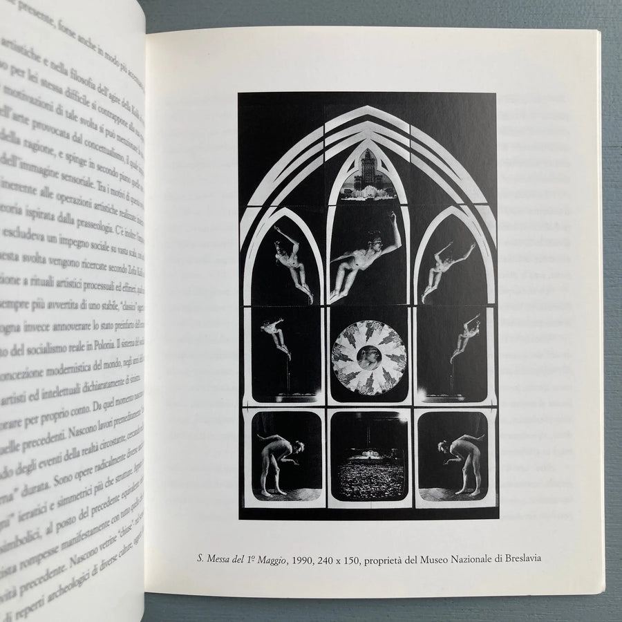 Zofia Kulik - Arma simbolica IV - XLVII Esposizione Internazionale d'Arte Venezia 1997 - Saint-Martin Bookshop