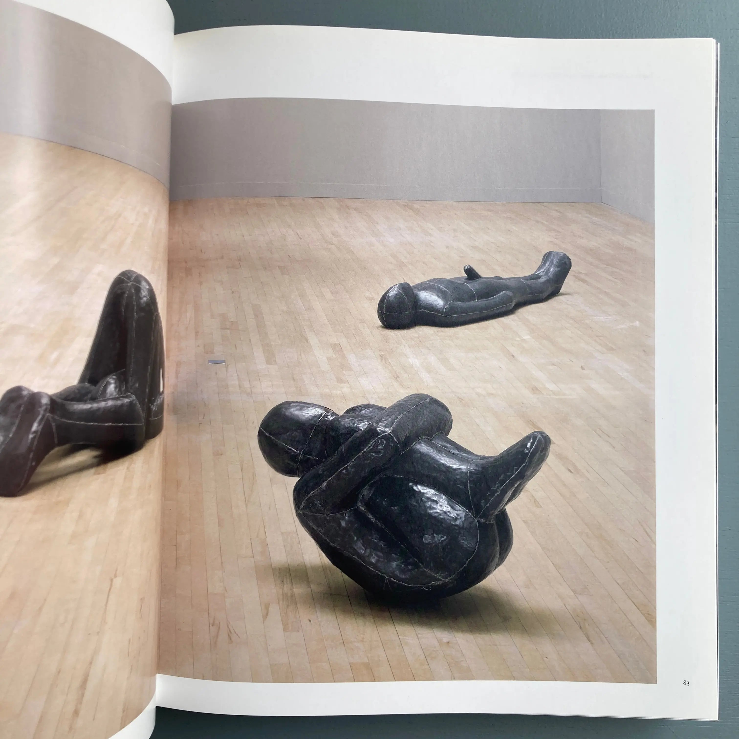 Antony Gormley - Catalogue raisonné - steidlMACK 2007 - Saint