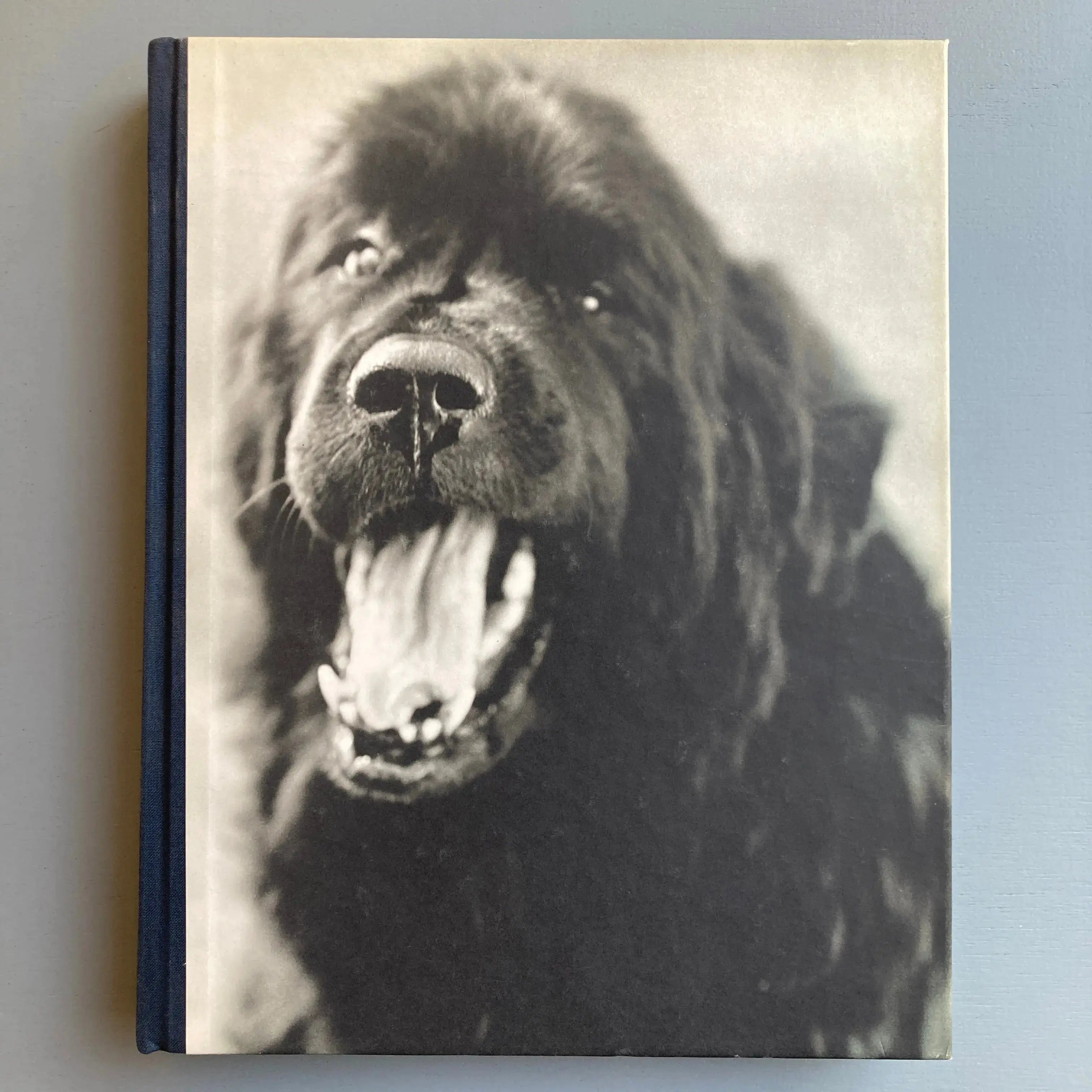 Bruce Weber - Gentle Giants - Bulfinch 1994 - Saint-Martin Bookshop