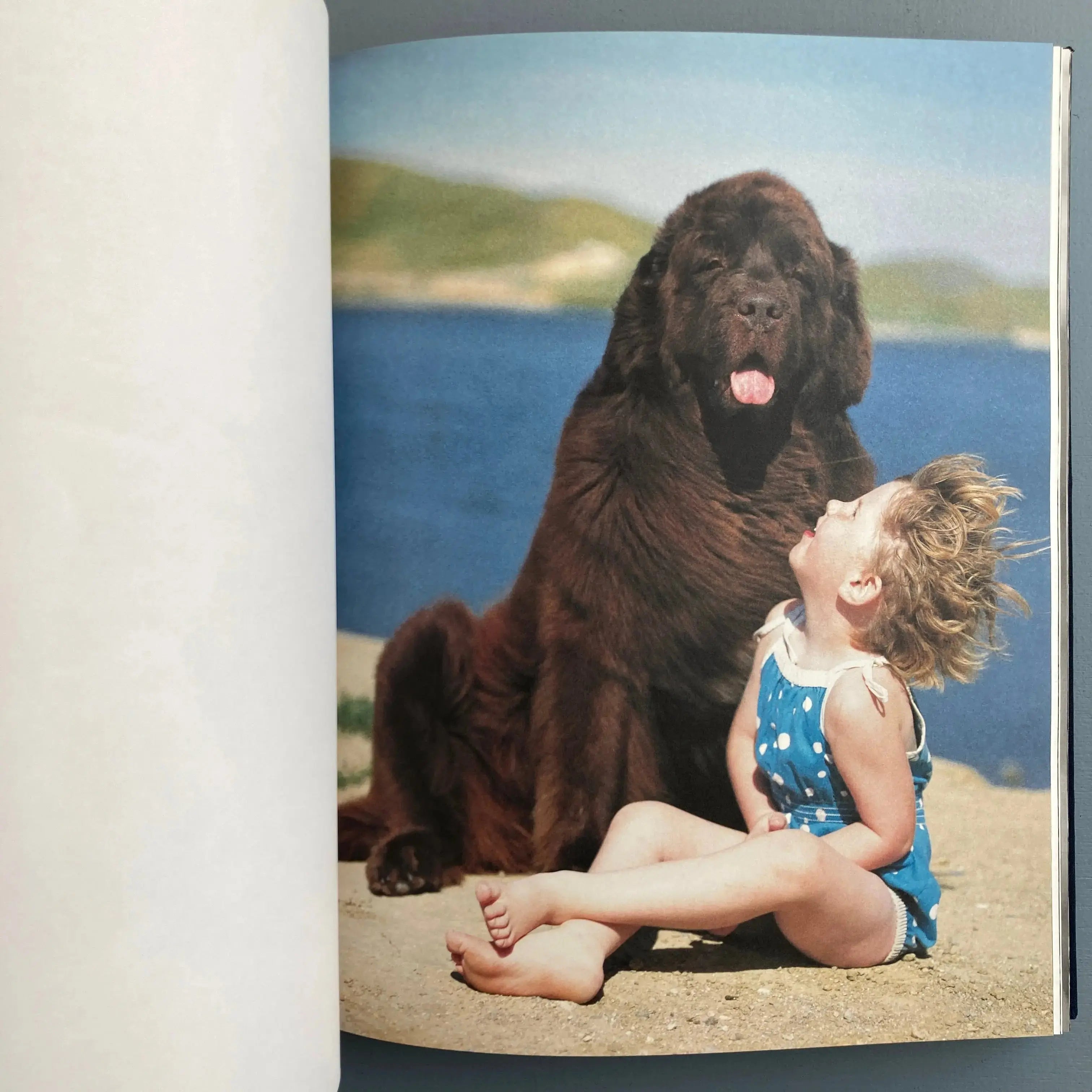 Bruce Weber - Gentle Giants - Bulfinch 1994 - Saint-Martin Bookshop