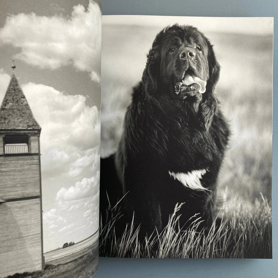 Bruce Weber - Gentle Giants - Bulfinch 1994