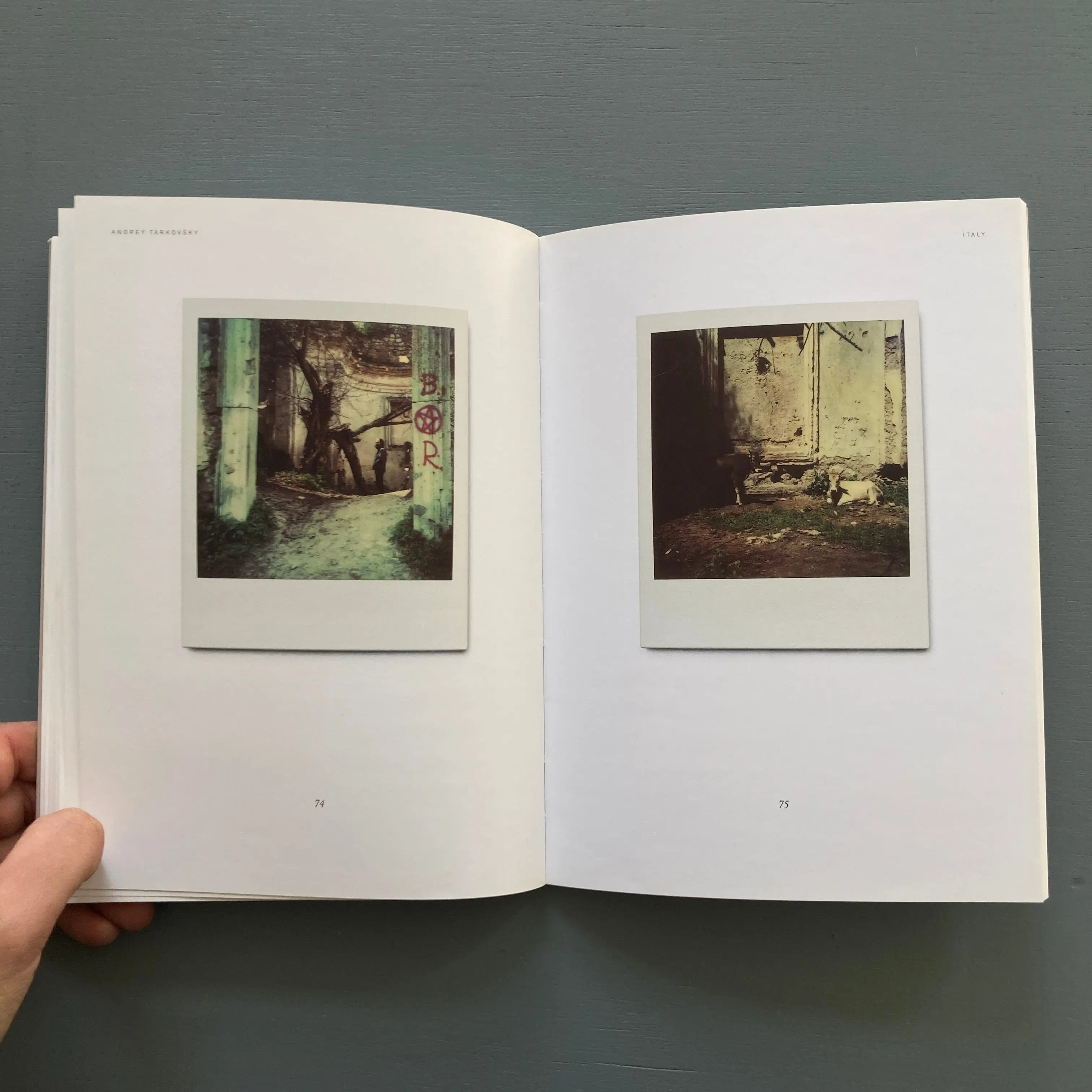 Instant Light - Tarkovsky Polaroids - Thames and Hudson - 2009