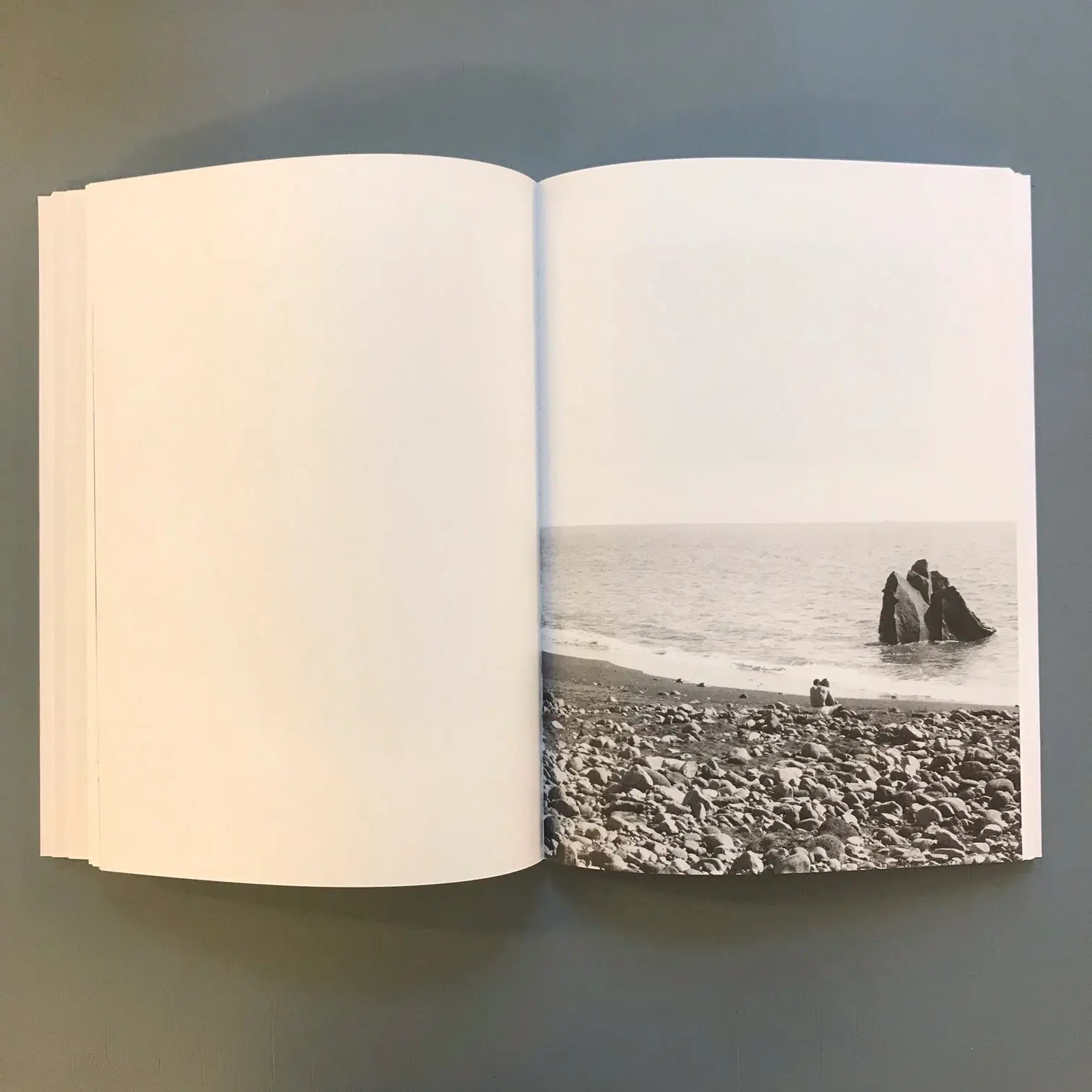 Jochen Lempert - Paare / Pairs - Portikus / Roma publications 2022