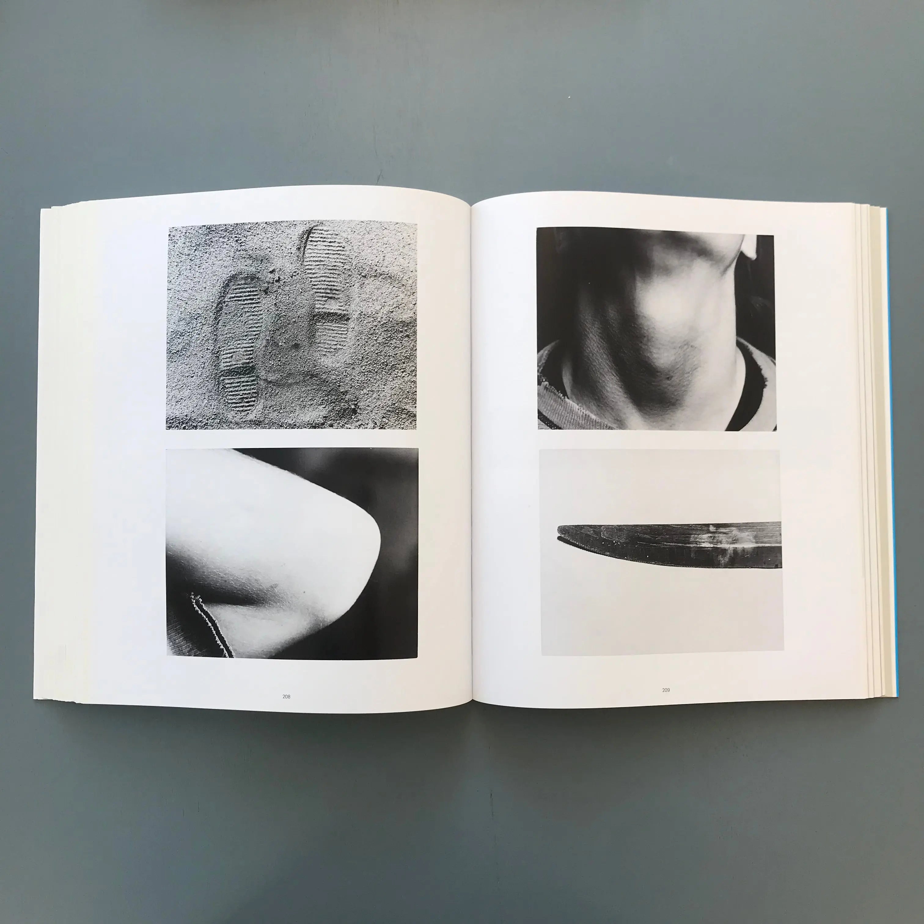 ジョン・バルデッサリ Pure Beauty John Baldessari - Pure Beauty - Tate 2009 - Saint-Martin