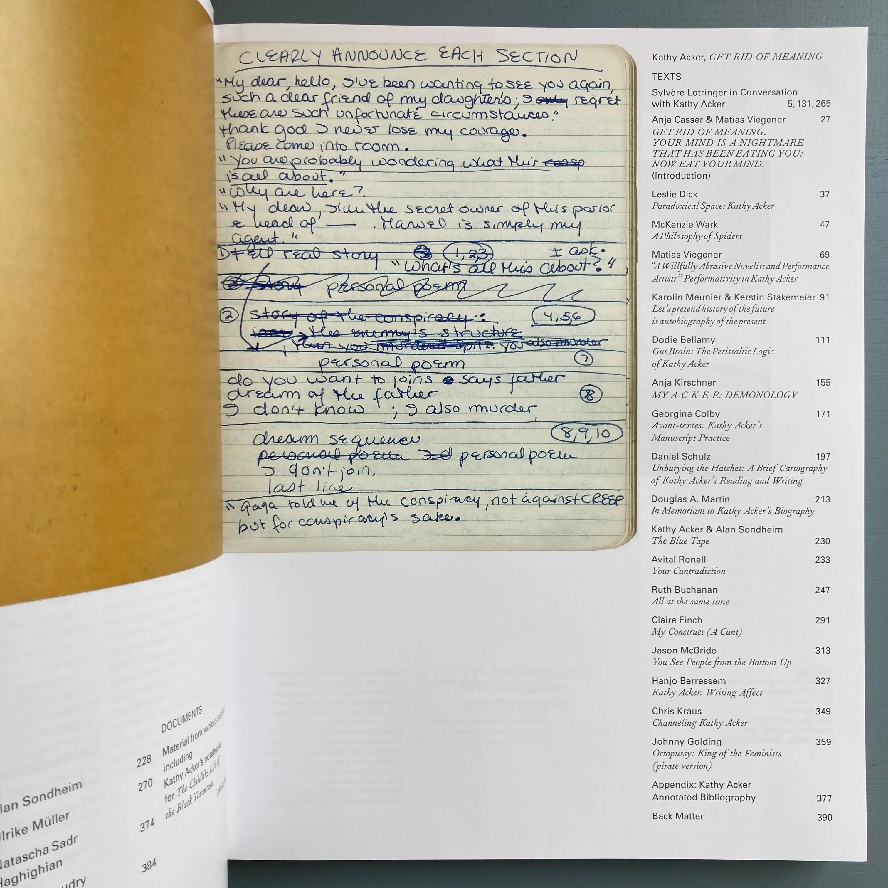 Kathy Acker Get Rid Of Meaning Badischer Kunstverein 2018 Saint kathy-acker-get-rid-of-meaning-badischer-kunstverein-2018-saint