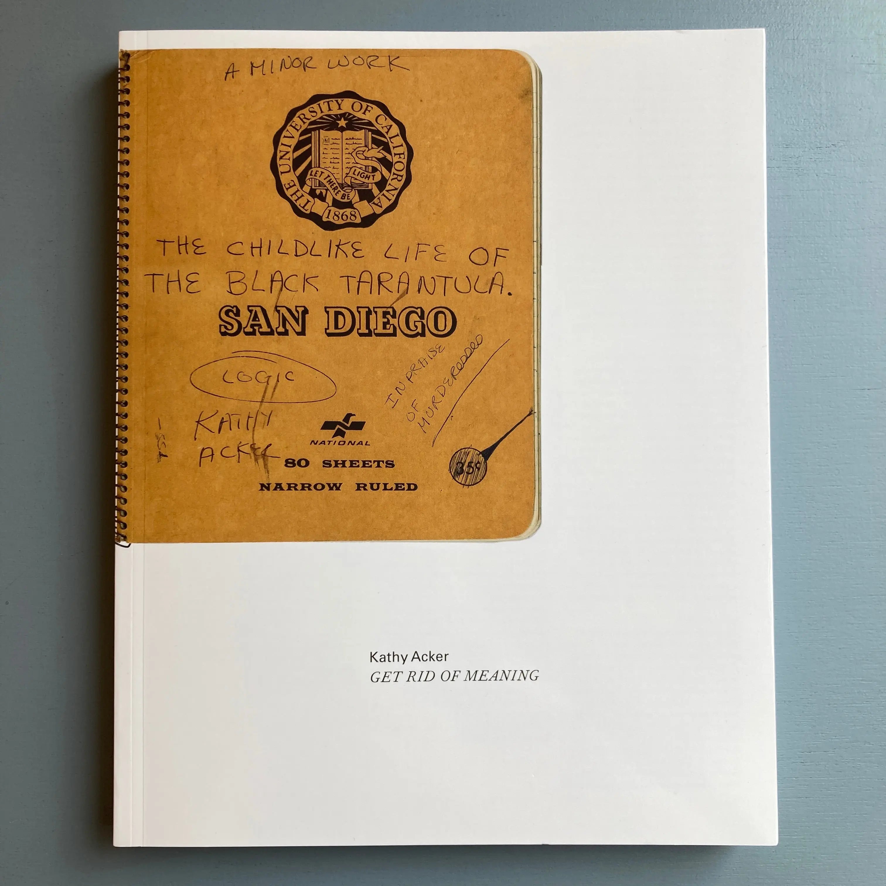 kathy-acker-get-rid-of-meaning-badischer-kunstverein-2018-saint