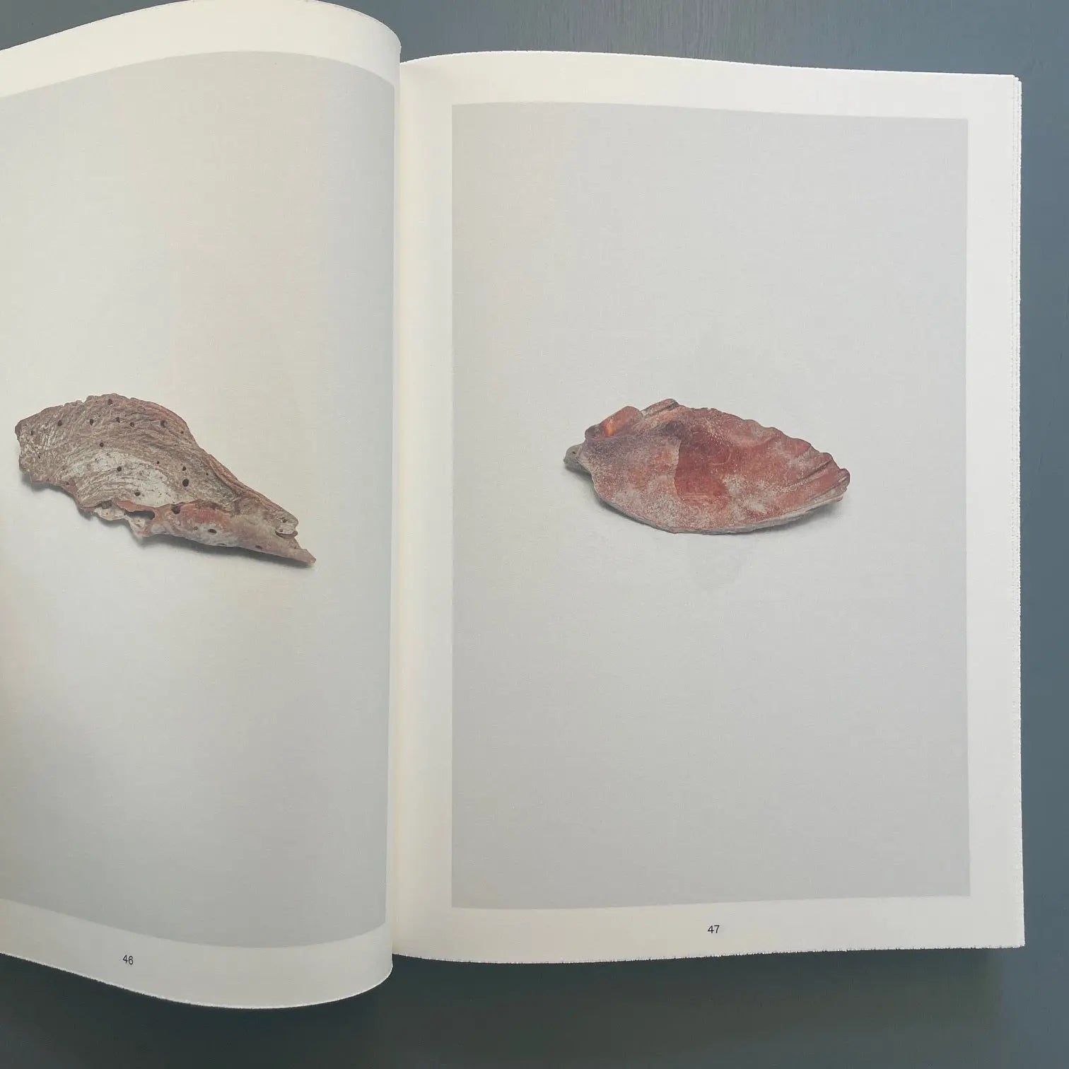 Nina Canell - Shell Reader - Bom Dia Books 2022 - Saint-Martin Bookshop