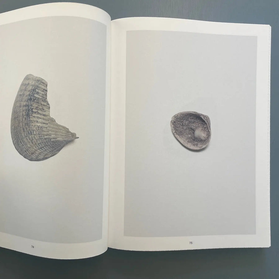 Nina Canell Shell Reader Bom Dia Books 2022 Saint Martin Bookshop nina-canell-shell-reader-bom-dia-books-2022-saint-martin-bookshop
