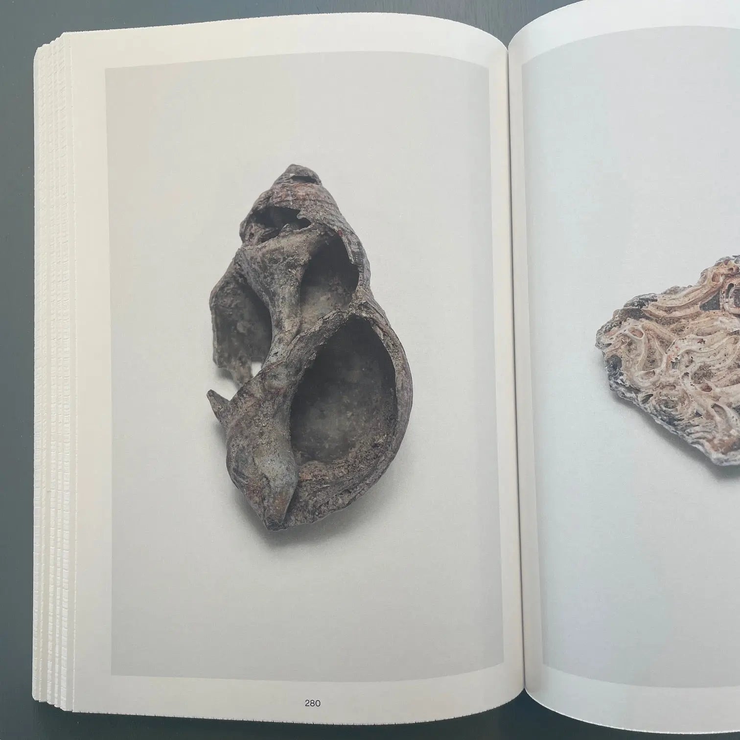 Nina Canell - Shell Reader - Bom Dia Books 2022 - Saint-Martin Bookshop