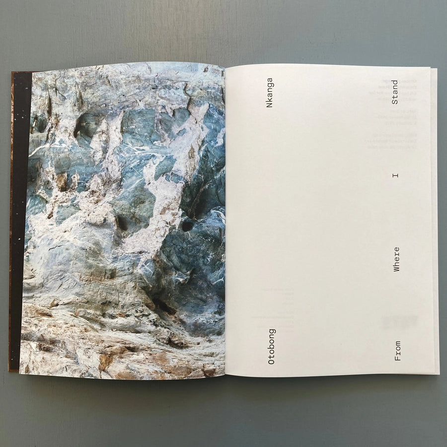 Otobong Nkanga - From Where I Stand - Tate 2019 Saint-Martin Bookshop