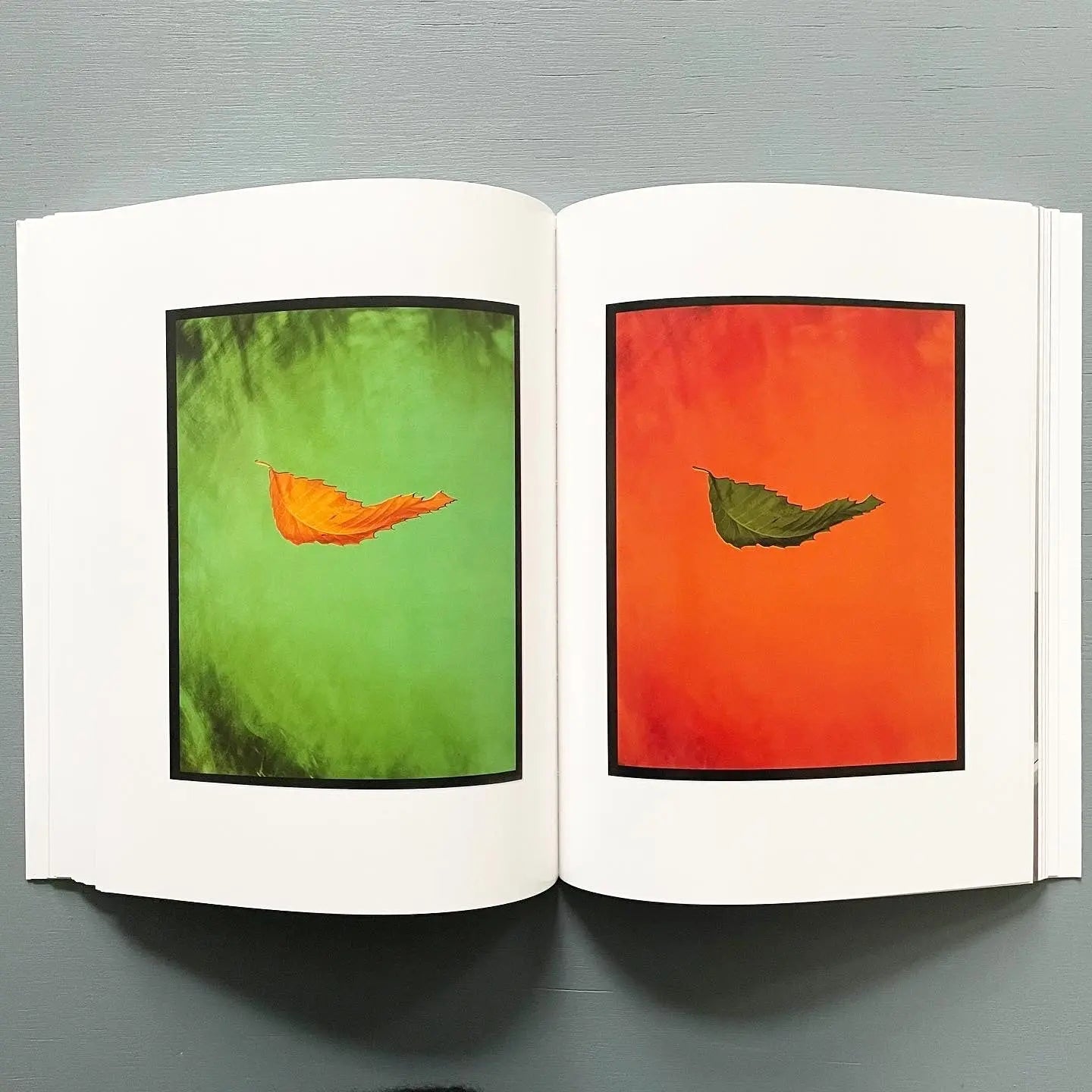 Peter Saville - Estate 1-127 - JRP 2007 - Saint-Martin Bookshop